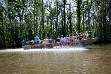 cajun encounters tour company prices